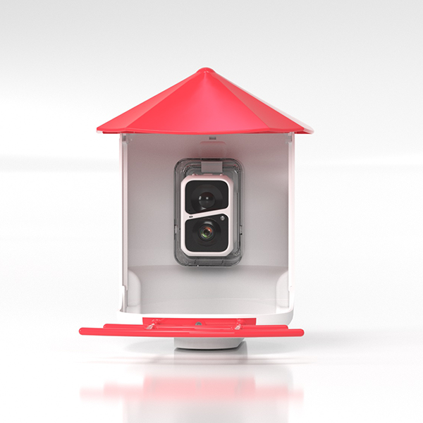 Quality AI Bird identify Support 10000+ bird species identification Manufacturer