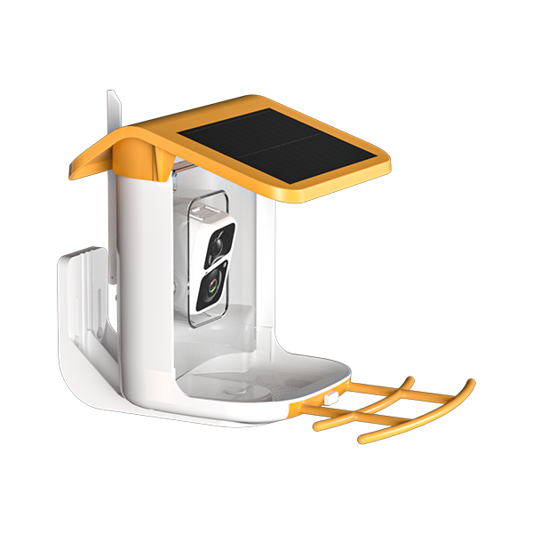 Quality AI Bird identify Support 10000+ bird species identification Manufacturer
